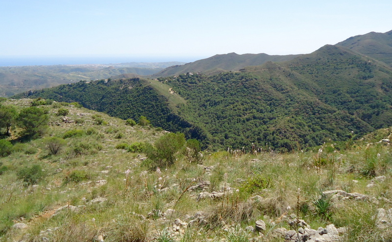 Andalusia: le orchidee e Grandi Pietre  marzo-aprile 2023.